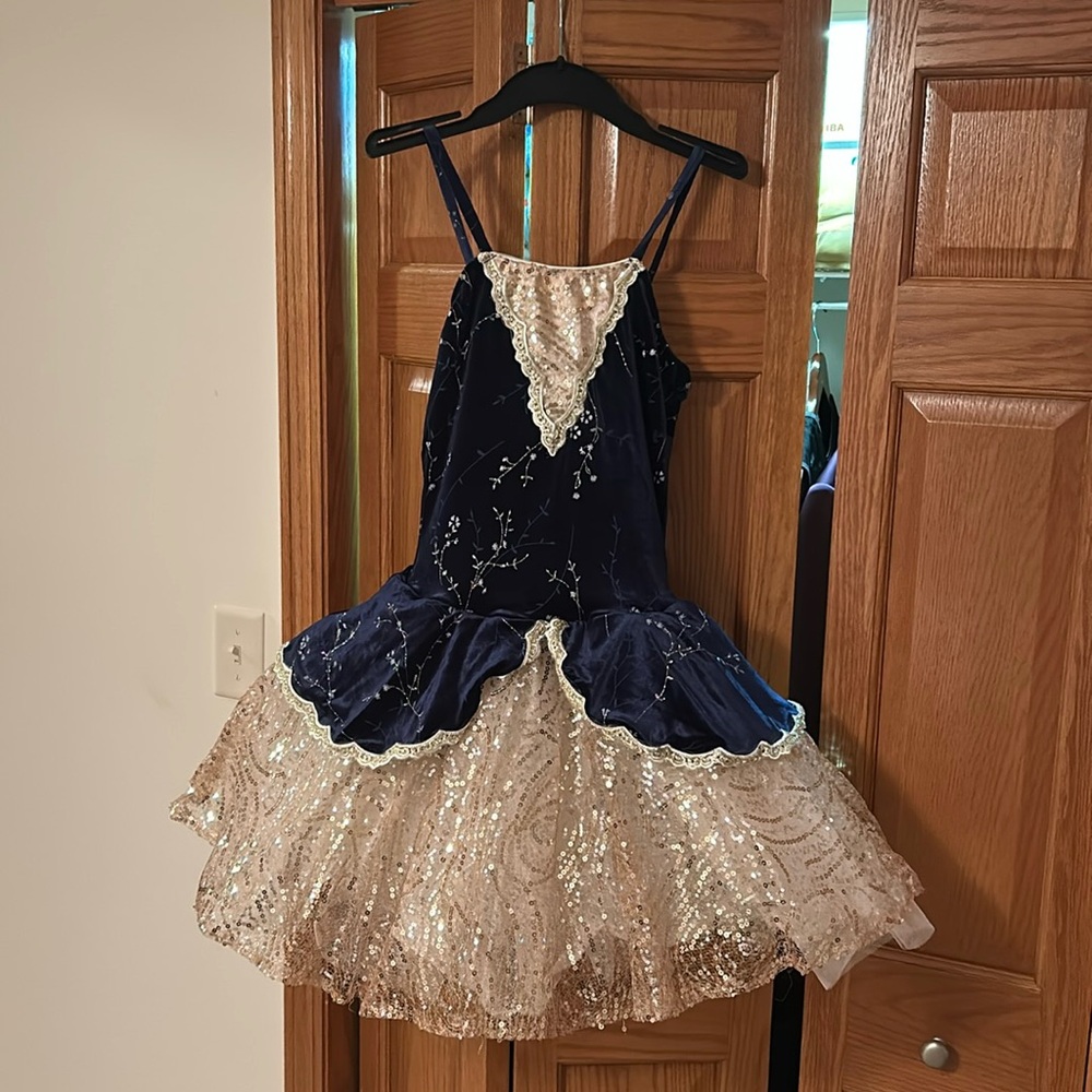 Navy and Gold Ballet Costume